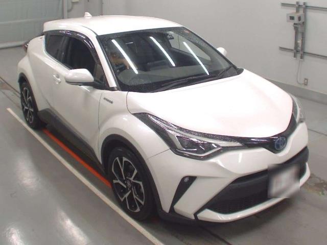 NZC 2019 Toyota C-HR just arrived to Auckland